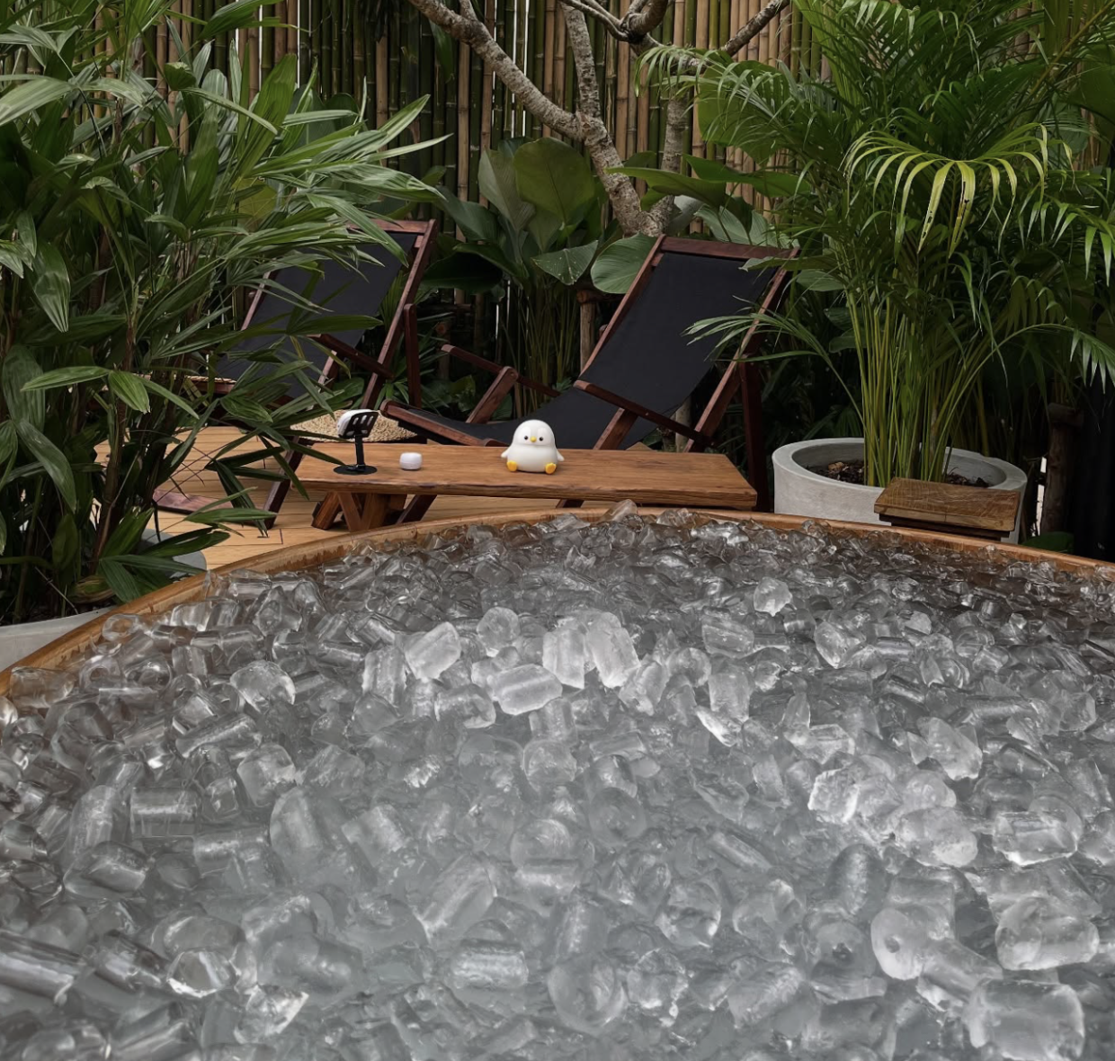 บริการออกแบบและติดตั้งอ่างแช่น้ำเย็น Ice Bath สำหรับบ้านพักอาศัย โดย Inter Pool Spa